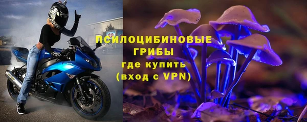 прущие крисы Богородицк